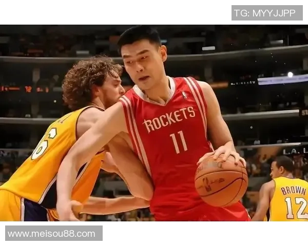 姚鱼姚明的传奇故事与篮球梦想交织的精彩人生旅程